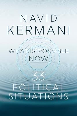 What is Possible Now: 33 Political Situations - Navid Kermani - cover