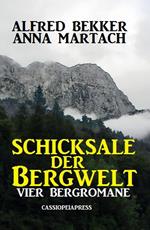 Schicksale der Bergwelt: Vier Bergromane