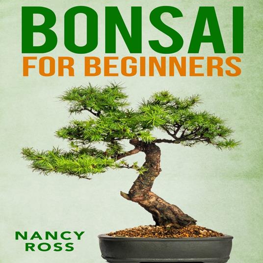 Vaso per bonsai Peter Cre