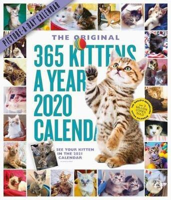 2020 365 Kittens-A-Year Picture-A-Day Calendar - Workman Calendars - cover