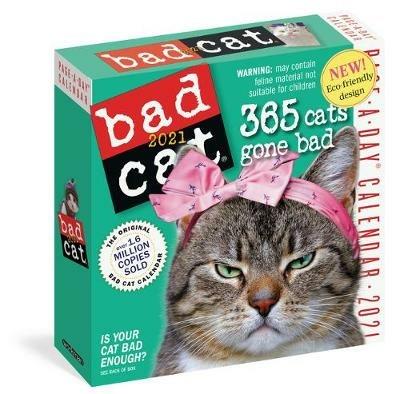 2021 Bad Cat Colour Page-A-Day Calendar - Workman Calendars - cover