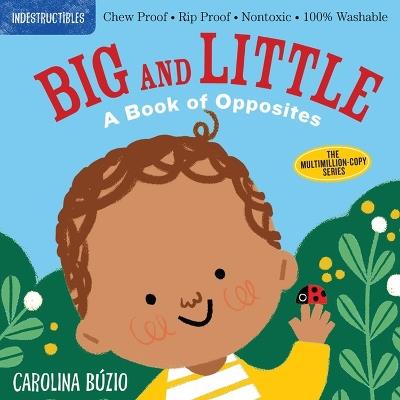 Indestructibles: Big and Little: A Book of Opposites: Chew Proof · Rip Proof · Nontoxic · 100% Washable (Book for Babies, Newborn Books, Safe to Chew) - Amy Pixton - cover