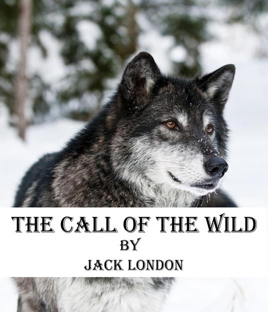 THE CALL OF THE WILD