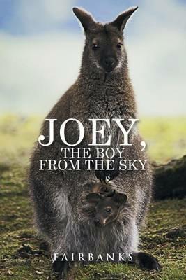 Joey, the Boy from the Sky - Fairbanks - cover