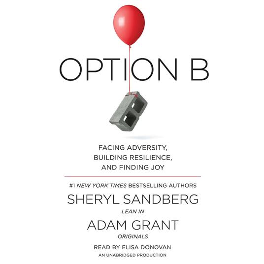 Option B