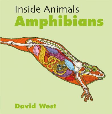 Amphibians - David West - cover