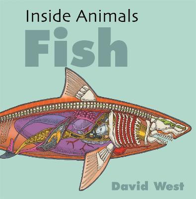 Inside Animals: Fish - David West - cover