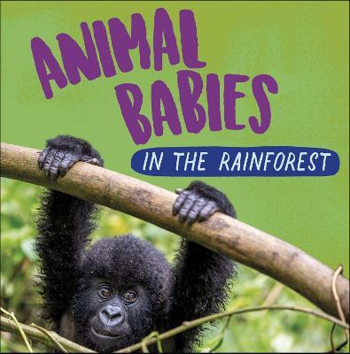 Animal Babies: In the Rainforest - Sarah Ridley - cover