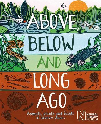 Above, Below and Long Ago: Animals, plants and fossils in unseen places - Michael Bright - cover