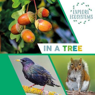 Explore Ecosystems: In a Tree - Sarah Ridley - cover