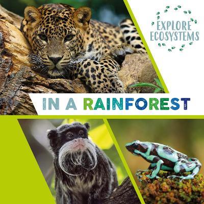 Explore Ecosystems: In a Rainforest - Sarah Ridley - cover