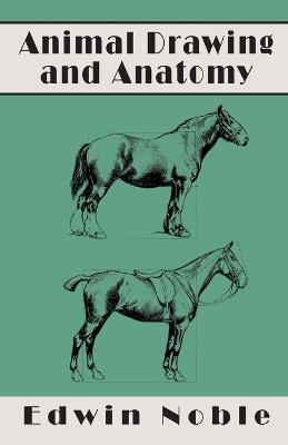 Animal Drawing and Anatomy - Edwin Noble - cover
