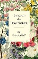 Colour in the Flower Garden