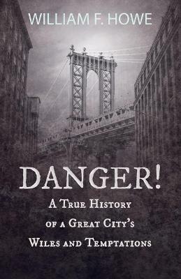 Danger! - A True History of a Great City's Wiles and Temptations: With the Introductory Chapter 'The Pleasant Fiction of the Presumption of Innocence' - William F Howe,Abraham H Hummel - cover