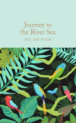 Journey to the River Sea - Eva Ibbotson - cover