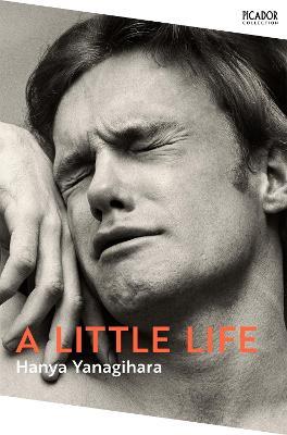 A Little Life - Hanya Yanagihara - Libro in lingua inglese