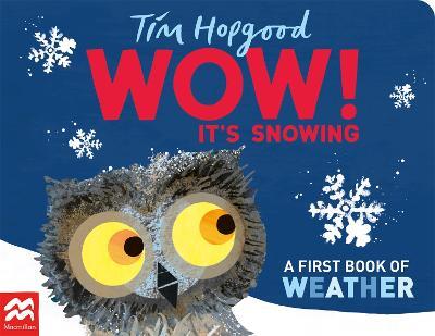 WOW! It's Snowing: A First Book of Weather - Tim Hopgood - cover