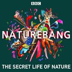 NatureBang