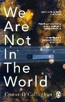 We Are Not in the World: 'compelling and profoundly moving' Irish Times