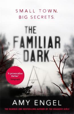 The Familiar Dark: The must-read, utterly gripping thriller you won't be able to put down - Amy Engel - cover