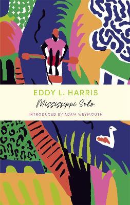 Mississippi Solo: A John Murray Journey - Eddy L Harris - cover