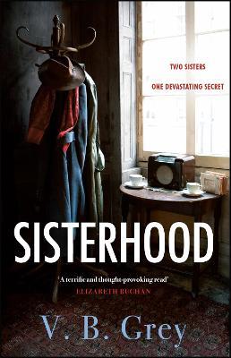 Sisterhood: A heartbreaking mystery of family secrets and lies - V. B. Grey - cover