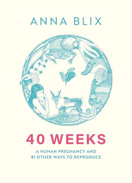 40 Weeks