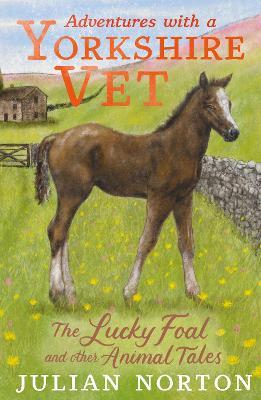 Adventures with a Yorkshire Vet: The Lucky Foal and Other Animal Tales - Julian Norton - cover