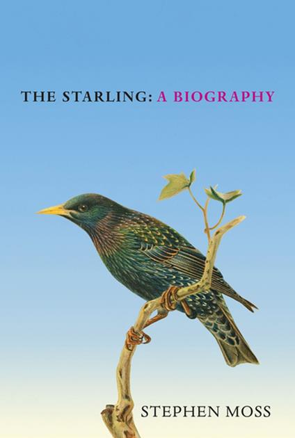 The Starling