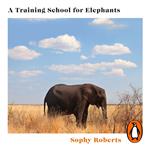 A Training School for Elephants