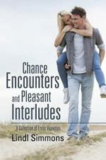 Chance Encounters and Pleasant Interludes: A Collection of Erotic Vignettes