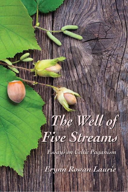 The Well of Five Streams Essays on Celtic Paganism