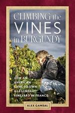 Climbing the Vines in Burgundy: How an American Came to Own a Legendary Vineyard in France