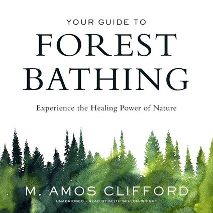 Your Guide to Forest Bathing