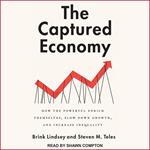 The Captured Economy