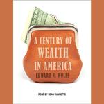 A Century of Wealth in America