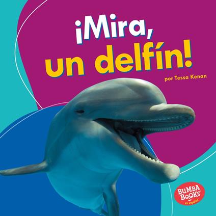 ¡Mira, un delfín! (Look, a Dolphin!)