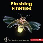 Flashing Fireflies