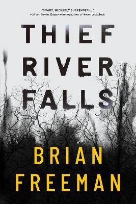 Thief River Falls - Brian Freeman - cover