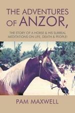 The Adventures of Anzor: the story of a horse & his surreal meditations on life, death & people!