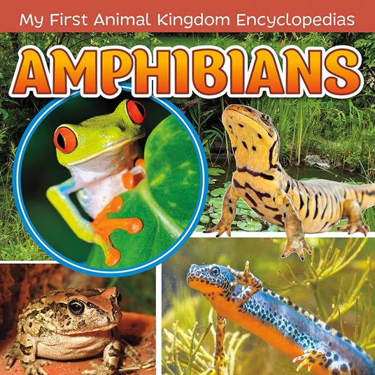 Amphibians