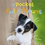 Pocket Full of Nouns, A