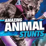 Amazing Animal Stunts