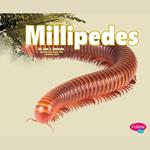 Millipedes