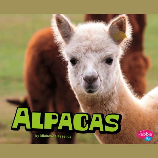 Alpacas