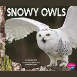 Snowy Owls