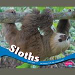 Sloths