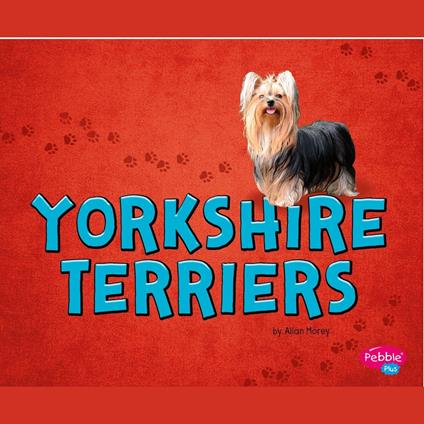 Yorkshire Terriers