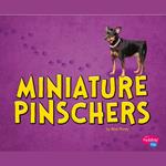 Miniature Pinschers