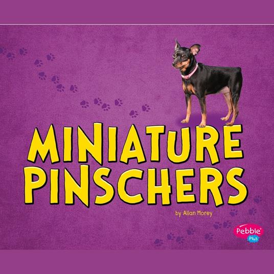 Miniature Pinschers